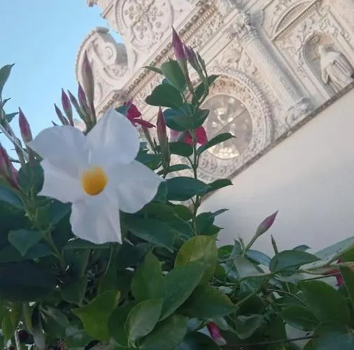 I Sei Volti Bed & Breakfast 4*